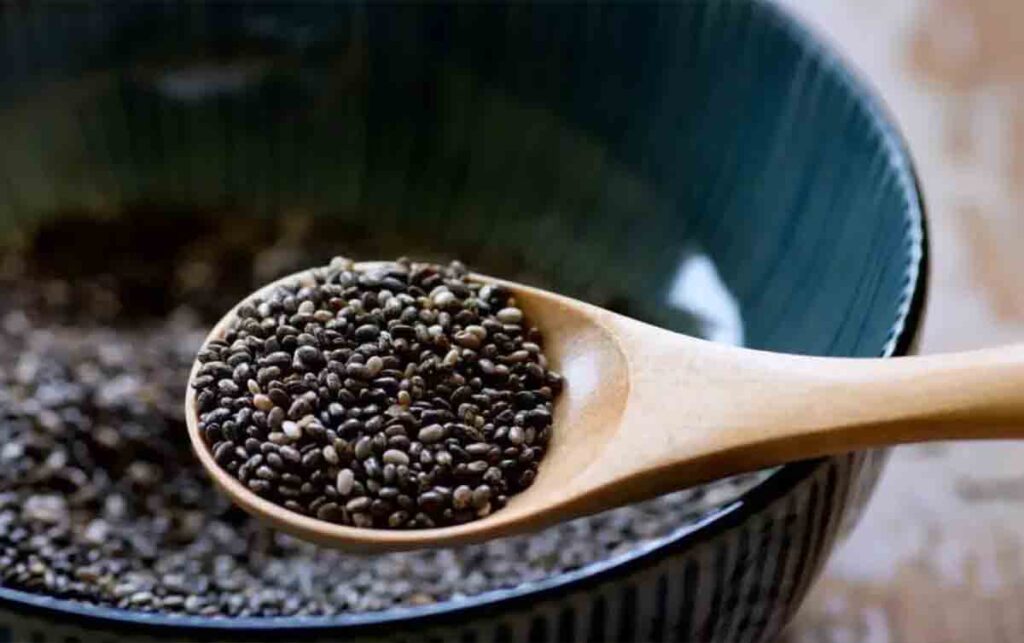 Health Benefits of Chia Seeds Health Benefits of Chia Seeds